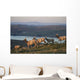 Tule Elk In Point Reyes National Seashore Wall Mural