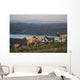 Tule Elk In Point Reyes National Seashore Wall Mural