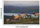 Tule Elk In Point Reyes National Seashore Wall Mural