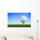 Golf ball Wall Mural