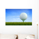 Golf ball Wall Mural