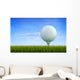 Golf ball Wall Mural