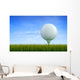Golf ball Wall Mural
