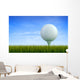 Golf ball Wall Mural