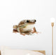 Frog Wall Decal