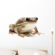 Frog Wall Decal