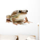 Frog Wall Decal