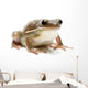 Frog Wall Decal