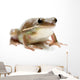 Frog Wall Decal