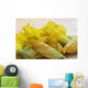 Close Up Of Zucchini Blossoms With Water Drops On Wooden Cutting Board Wall Mural