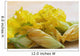 Close Up Of Zucchini Blossoms With Water Drops On Wooden Cutting Board Wall Mural