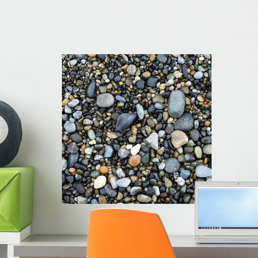 Wet Rocks On The Beach Wall Mural