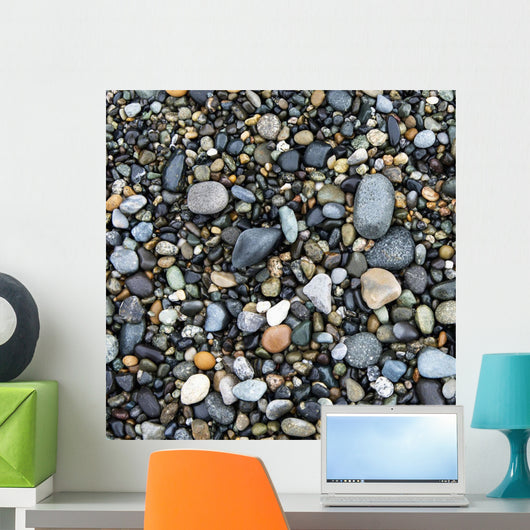 Wet Rocks On The Beach Wall Mural