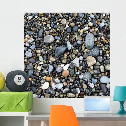 Wet Rocks On The Beach Wall Mural