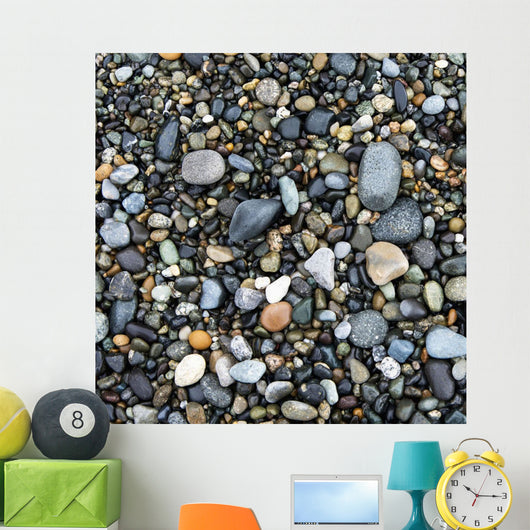 Wet Rocks On The Beach Wall Mural