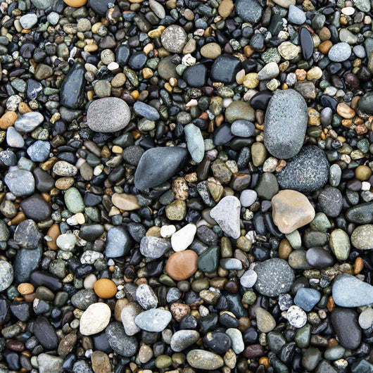 Wet Rocks On The Beach Wall Mural