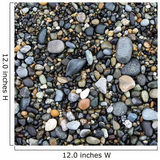 Wet Rocks On The Beach Wall Mural