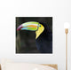 Macaw Wall Mural
