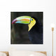 Macaw Wall Mural