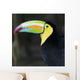 Macaw Wall Mural