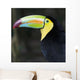 Macaw Wall Mural