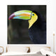 Macaw Wall Mural