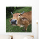 Close Up Of The Face Of A Cow Wall Mural