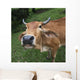Close Up Of The Face Of A Cow Wall Mural