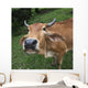 Close Up Of The Face Of A Cow Wall Mural