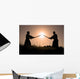 Aikido Wall Mural