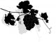 Grapevine twig Wall Decal