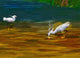 Computer Generated Image Of Bird Wading And Drinking In Shallow Water Wall Mural