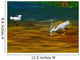 Computer Generated Image Of Bird Wading And Drinking In Shallow Water Wall Mural