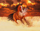 Computer Generated Image Of A Horse Running In A Golden Field Wall Mural