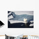 Polar bear on melting sea ice, high angle view from cruise ship Wall Mural