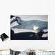 Polar bear on melting sea ice, high angle view from cruise ship Wall Mural