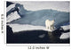 Polar bear on melting sea ice, high angle view from cruise ship Wall Mural