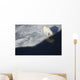 Polar bear on melting sea ice, high angle view from cruise ship Wall Mural