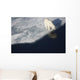Polar bear on melting sea ice, high angle view from cruise ship Wall Mural
