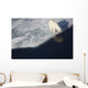 Polar bear on melting sea ice, high angle view from cruise ship Wall Mural