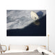 Polar bear on melting sea ice, high angle view from cruise ship Wall Mural