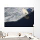 Polar bear on melting sea ice, high angle view from cruise ship Wall Mural
