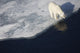 Polar bear on melting sea ice, high angle view from cruise ship Wall Mural