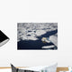 Polar bear on melting sea ice, high angle view from cruise ship Wall Mural