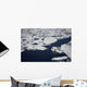 Polar bear on melting sea ice, high angle view from cruise ship Wall Mural