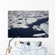 Polar bear on melting sea ice, high angle view from cruise ship Wall Mural