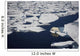 Polar bear on melting sea ice, high angle view from cruise ship Wall Mural