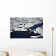 Polar bear on melting sea ice, high angle view from cruise ship Wall Mural
