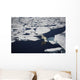 Polar bear on melting sea ice, high angle view from cruise ship Wall Mural