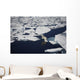 Polar bear on melting sea ice, high angle view from cruise ship Wall Mural